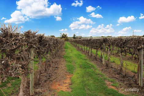 104 Tareena St, Cooltong, SA 5341