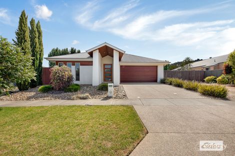 Property photo of 9 Thorpe Avenue Killara VIC 3691