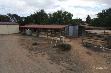 Property photo of 148 Attrill Road Tailem Bend SA 5260
