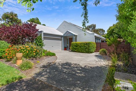 Property photo of 17 Cygnet Court Queenscliff VIC 3225