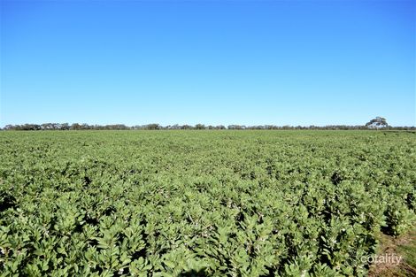 101 Black Rd, Keith, SA 5267