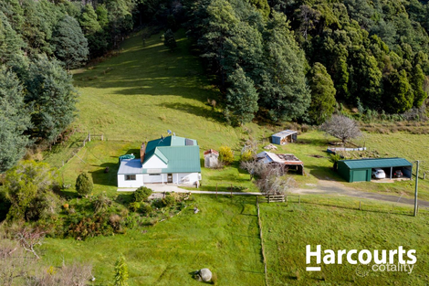 656 South Springfield Rd, South Springfield, TAS 7260