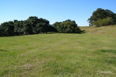 Property photo of 187 Tyalgum Creek Road Tyalgum Creek NSW 2484