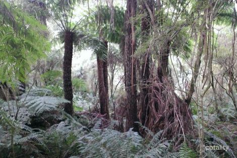 610 Boolarra-Foster Rd, Wonga, VIC 3960