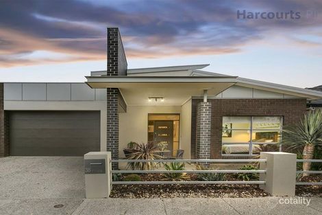 Property photo of 38 Francis Street Lightsview SA 5085