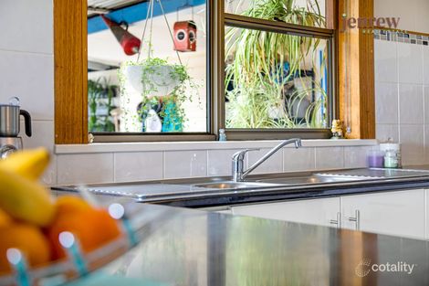 1599 Mount Hicks Rd, Yolla, TAS 7325