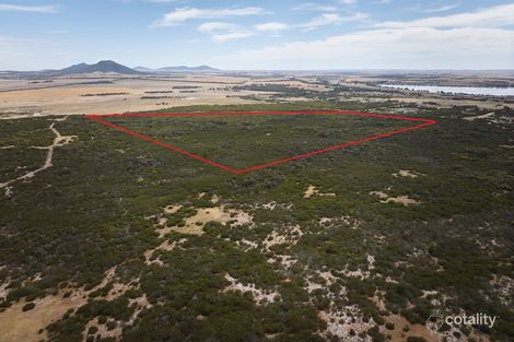 Lot 198 Warner St, Wangary, SA 5607
