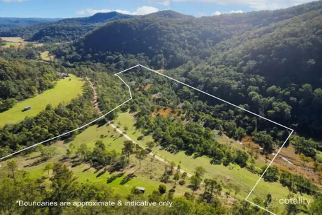 256 Olney Arm Rd, Dairy Arm, NSW 2325