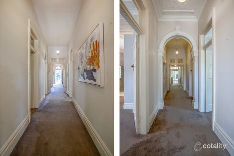 Property photo of 6 Dangar Street Randwick NSW 2031