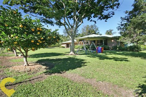 Property photo of 20 Mavis Road Morayfield QLD 4506