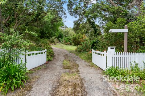 Property photo of 36 Gordon Street Rye VIC 3941