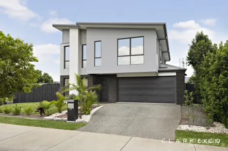 Property photo of 101 Dragonfly Drive Chisholm NSW 2322