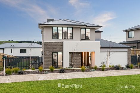 Property photo of 14 Narrawong Avenue Highton VIC 3216