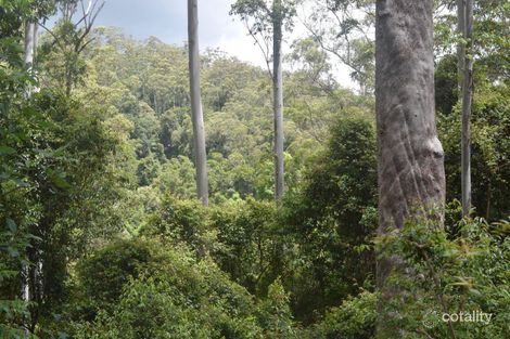 170-170a Lower Bobo Rd, Ulong, NSW 2450