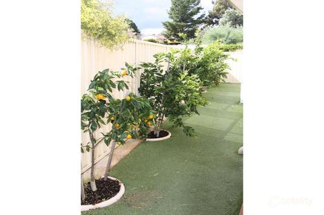 Property photo of 10C Ash Mews Collie WA 6225