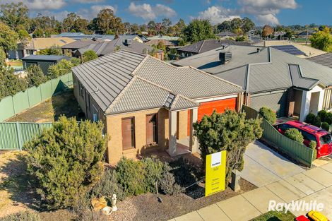 19 Triplett Ave, Ascot, VIC 3551