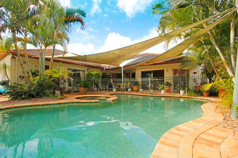 Property photo of 6 Fitzalan Circuit Arundel QLD 4214