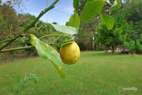 Property photo of 8598 New England Highway Hampton QLD 4352
