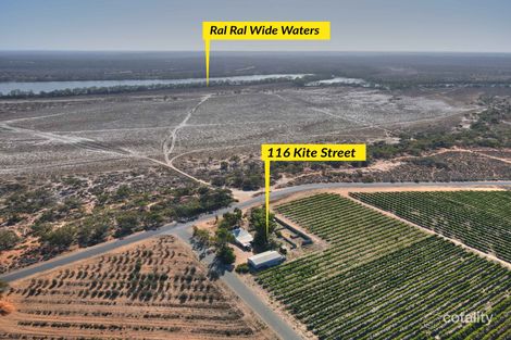 Property photo of 116 Kite Street Chaffey SA 5341