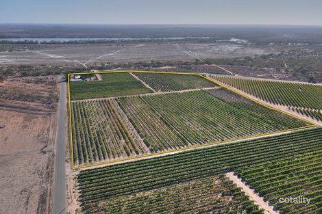 Property photo of 116 Kite Street Chaffey SA 5341