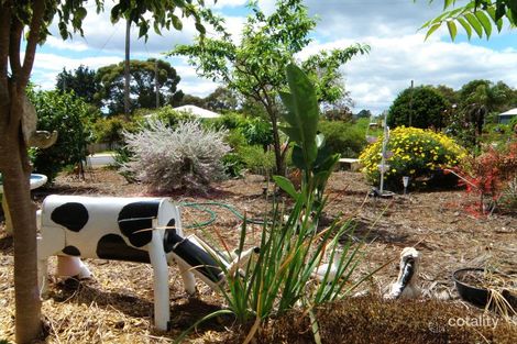 Property photo of 24 Carey Street Nannup WA 6275