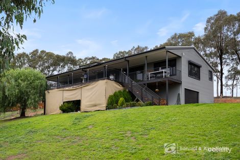 Property photo of 23 Allan Crescent Bellbridge VIC 3691