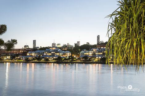 31 Waterline Cres, Bulimba, QLD 4171