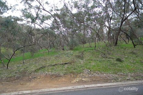 Property photo of 17 Ash Avenue Belair SA 5052