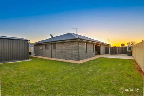 Property photo of 20 Cufari Drive Red Cliffs VIC 3496