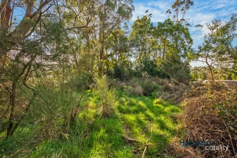 Property photo of 17 Adams Street Zeehan TAS 7469