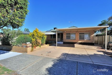 Property photo of 59 Ivanhoe Street Morley WA 6062