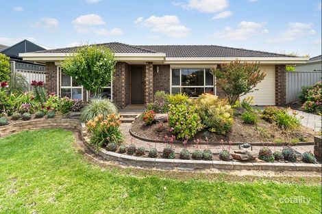 Property photo of 15 Cedar Avenue Seaford SA 5169