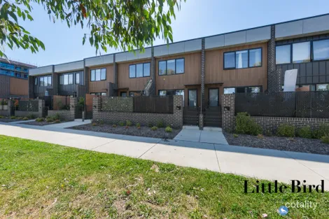 Property photo of 13B Negus Crescent Watson ACT 2602