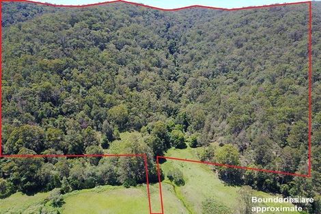 Property photo of 275 Bunning Creek Road Yarramalong NSW 2259