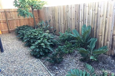 62/18 Whitley St, Mount Gravatt East, QLD 4122