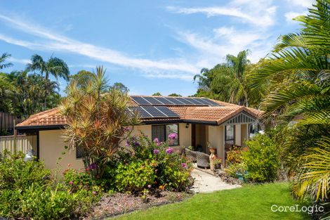 Property photo of 98 Lyndale Street Daisy Hill QLD 4127