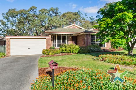 Property photo of 31 Manifold Court Croydon South VIC 3136