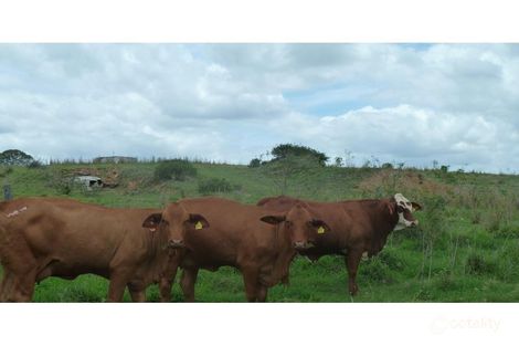 111 Hut Creek Rd, Machine Creek, QLD 4695