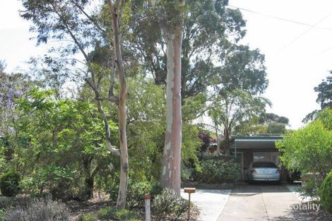 3 Meg Ct, Modbury, SA 5092
