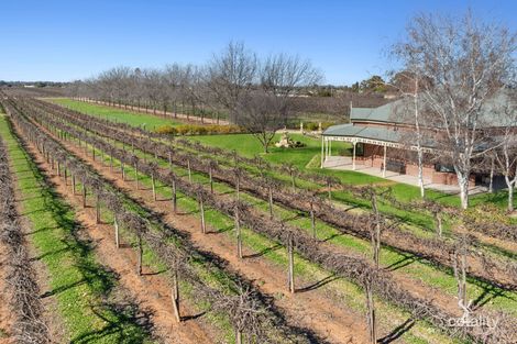 Property photo of 252 Tarcoola Street Renmark West SA 5341