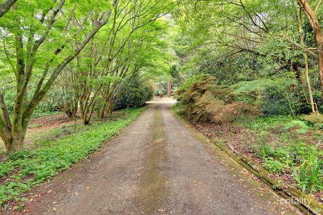 Property photo of 9 Mary Street Emerald VIC 3782