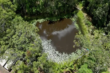 Property photo of 272 Ringtail Creek Road Ringtail Creek QLD 4565