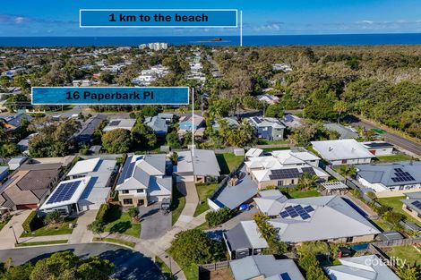 Property photo of 16 Paperbark Place Mudjimba QLD 4564