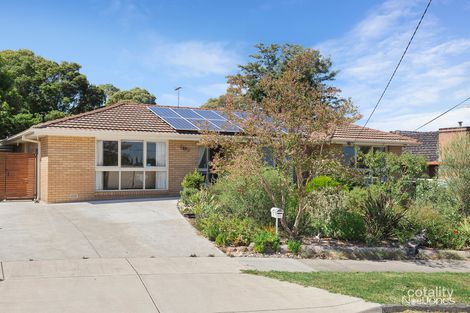 Property photo of 19 Cyprus Avenue Nunawading VIC 3131