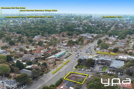Property photo of 424 Blackburn Road Glen Waverley VIC 3150