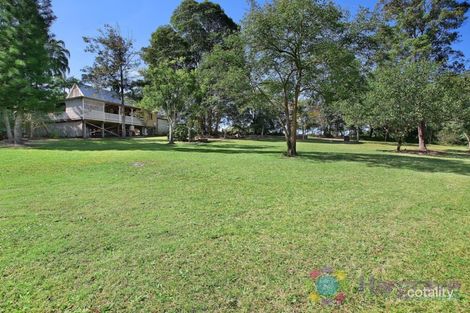 Property photo of 620 Louis Bazzo Drive Ringtail Creek QLD 4565