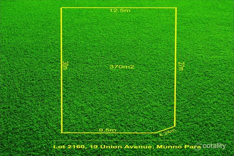 Property photo of 19 Union Avenue Munno Para SA 5115