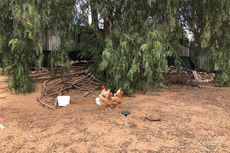 Property photo of 22 Horstmann Crescent Swan Reach SA 5354