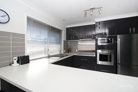 Property photo of 11 Cocos Place Raceview QLD 4305