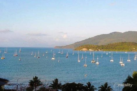 Property photo of 53 Airlie Crescent Airlie Beach QLD 4802